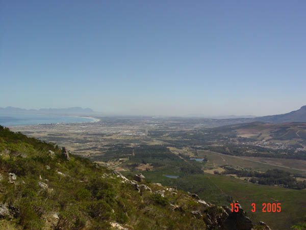 DSC00981
