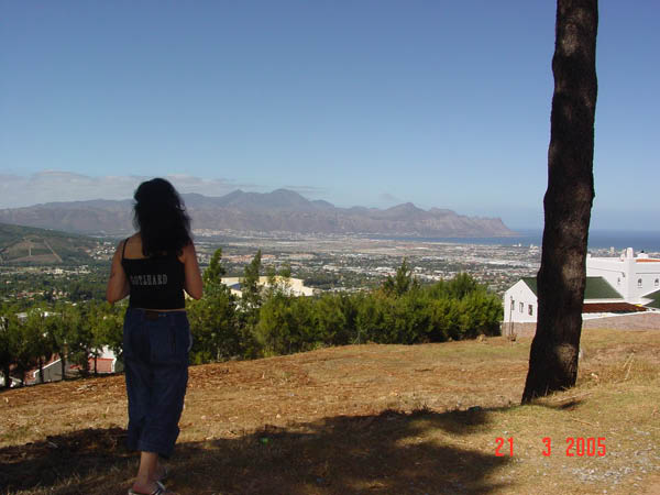 DSC00994