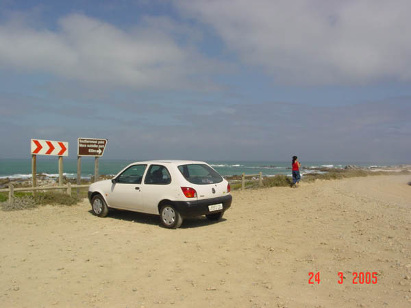 DSC00997