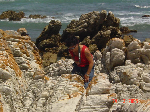 DSC01000
