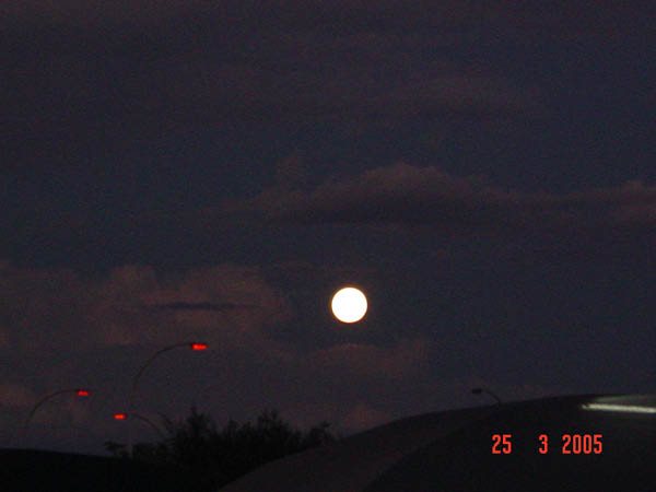 DSC01002