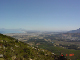 DSC00981