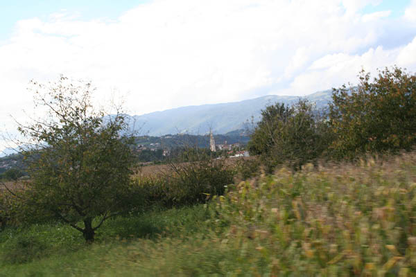 IMG_0346