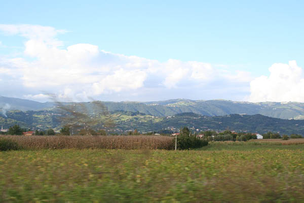 IMG_0347