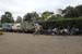 1 Jungles Junction in Nairobi
