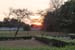 7. Wieder ein herrlicher Sonnenuntergang in Lusaka