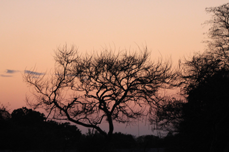 6. das warme Licht von Afrika