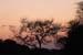 6. das warme Licht von Afrika