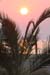 1. Herrlicher Sonnenaufgang